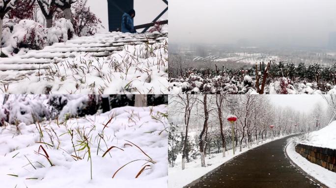 北龙湖凤山瞭望台雪景02