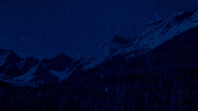 美丽的雪景雪花飘落夜景山峰山林