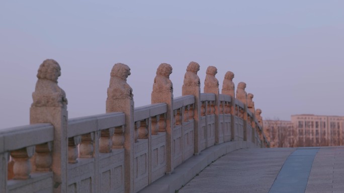 石狮子 桥上的石狮子 夕阳下的石狮子