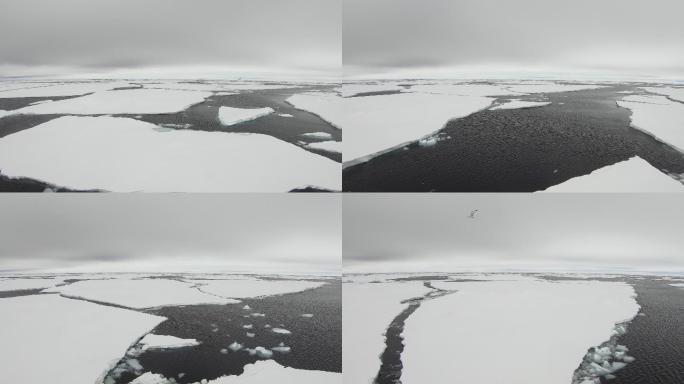 北极极地冰雪冰河