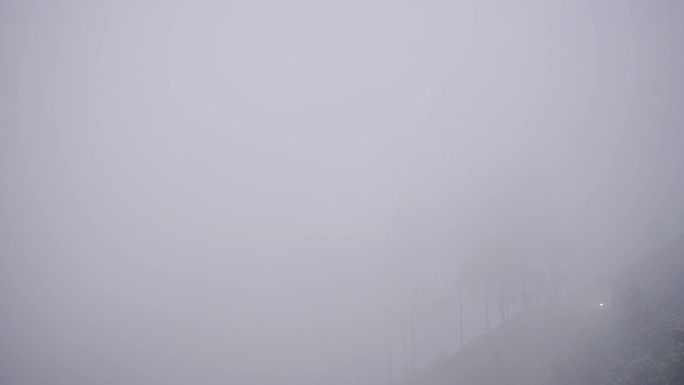 浓雾中的汽车大雾天气恶劣天气弥漫雾气