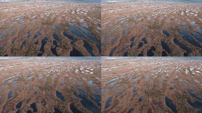 沼泽野外无人机拍摄