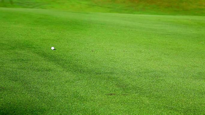 高尔夫球在绿草上打滚