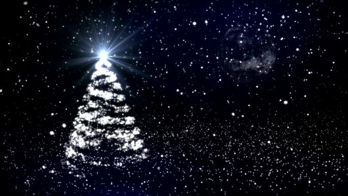 白雪映衬下的圣诞树