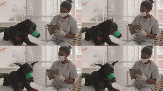 兽医填写病历视频素材宠物医院