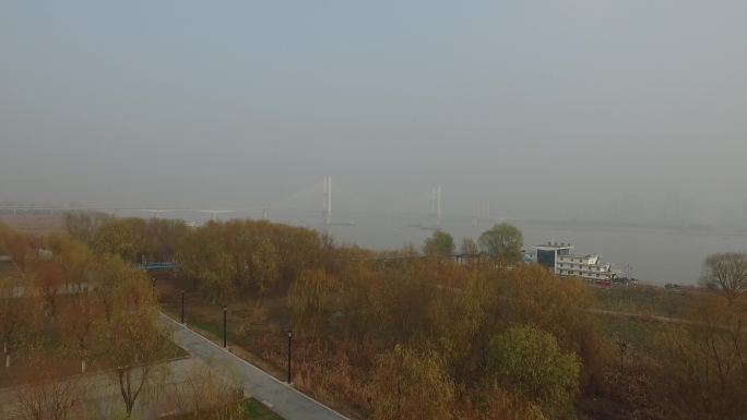 金黄树叶武汉长江二桥雾霾环境污染绿色环保