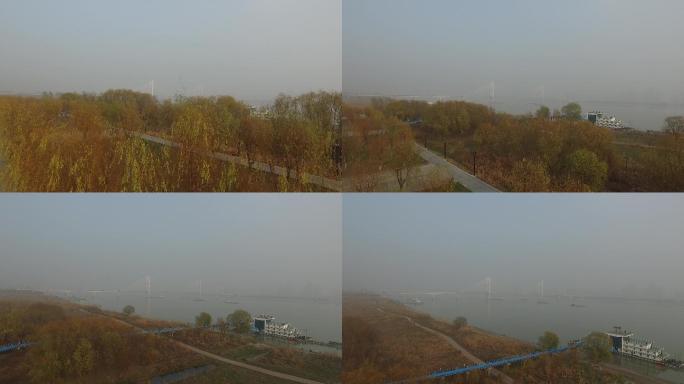 金黄树叶武汉长江二桥雾霾环境污染绿色环保