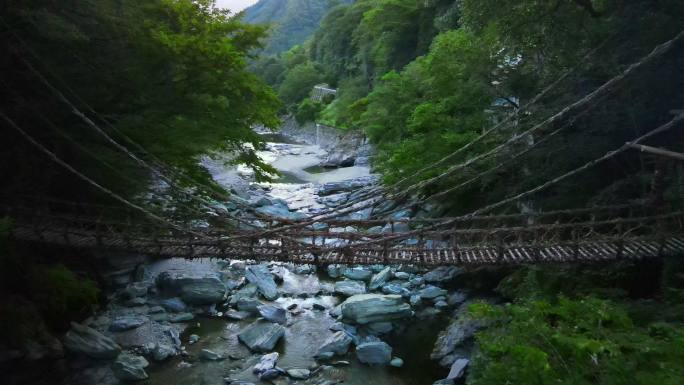 森林中的吊桥的无人机镜头