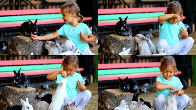 可爱的小女孩拿食物喂兔子