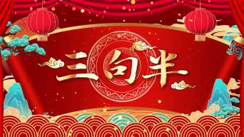 三句半2【循环】视频素材