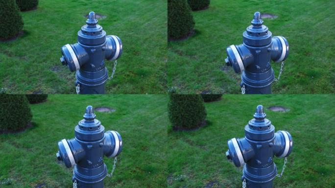 蓝色金属消防栓，位于绿色草坪上