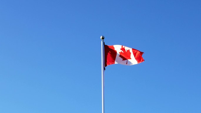 旗杆上飘扬的加拿大国旗