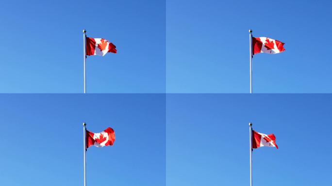 旗杆上飘扬的加拿大国旗