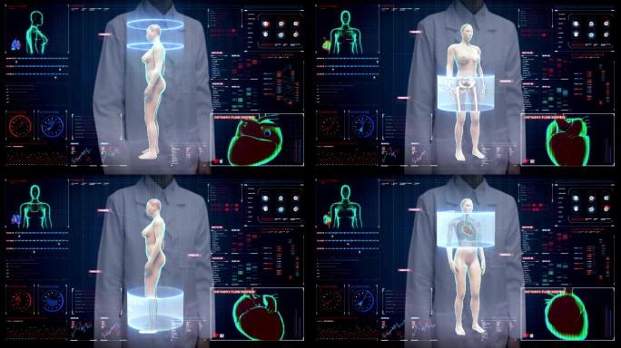 女性人体生物医学动画女性肖像人体关节