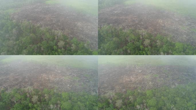 秘鲁亚马逊丛林视频素材俯拍航拍亚马逊河