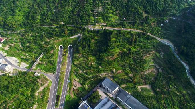 仙居杨梅种植地航拍