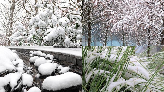 长沙冬天园林下雪场景