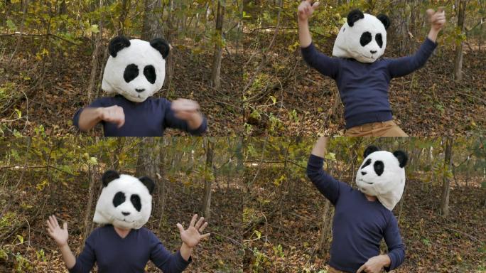 戴着熊猫面具庆祝胜利并跳舞的男子