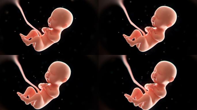 婴儿3d渲染生育婴幼儿怀胎十月孕检孕育