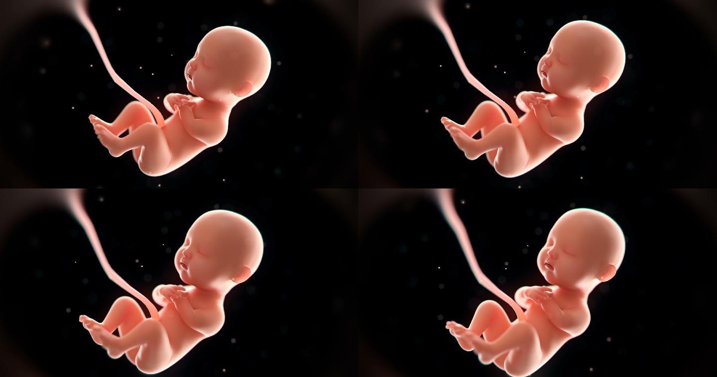 婴儿3d渲染生育婴幼儿怀胎十月孕检孕育