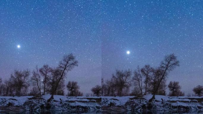 塔里木河雪后胡杨星空延时 -3