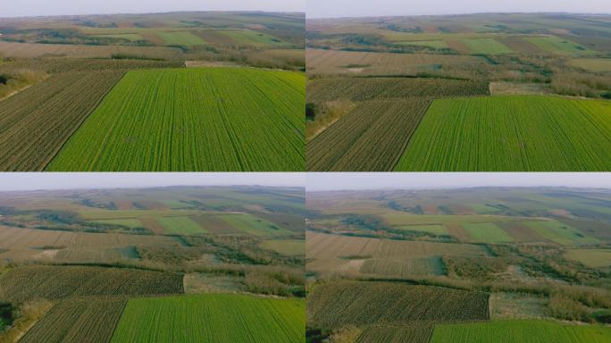 美丽的大片农田实拍视频素材