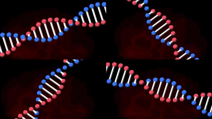 DNA链在红黑背景上旋转的动画