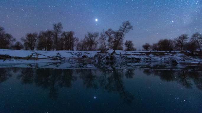 塔里木河雪后胡杨星空延时 -5