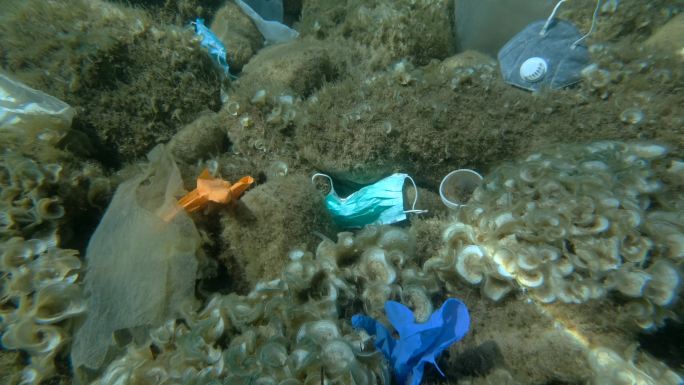 海底里有废弃的口罩和塑料垃圾。