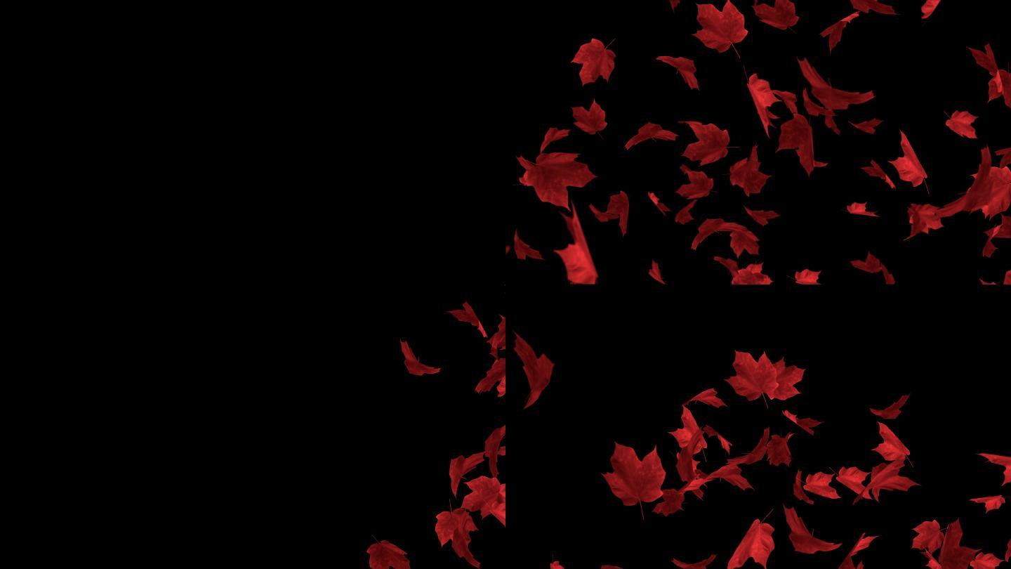 红叶飘落在黑色背景上