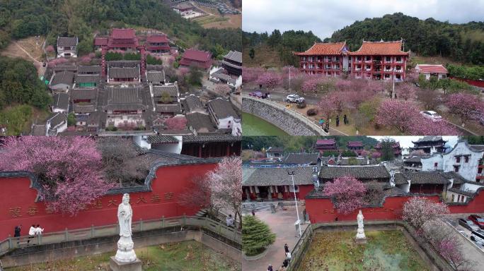 福州林阳寺梦幻梅花【4K】