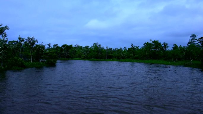 沼泽航拍船拍湿地湖泊湿地公园生态河道