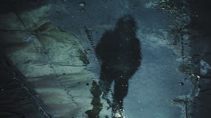 人的影子映在水坑里