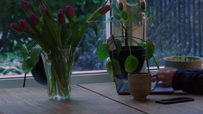 木桌上的花瓶里插着美丽的郁金香