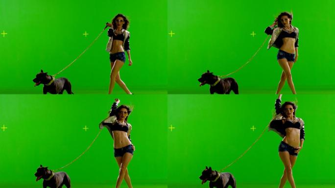 辣妹斗牛犬绿屏绿幕外国绿布抠图抠像
