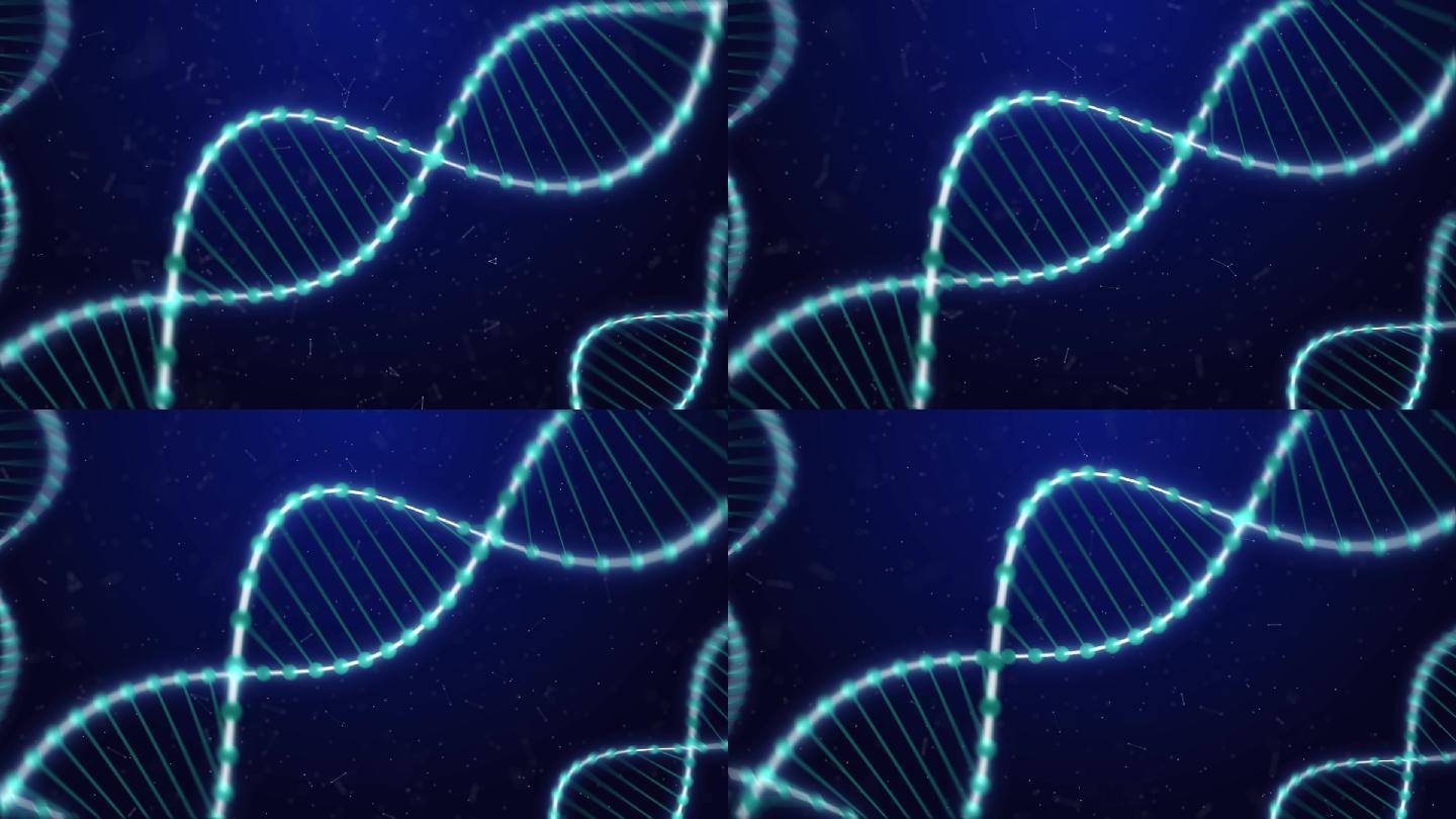 AE模版DNA链