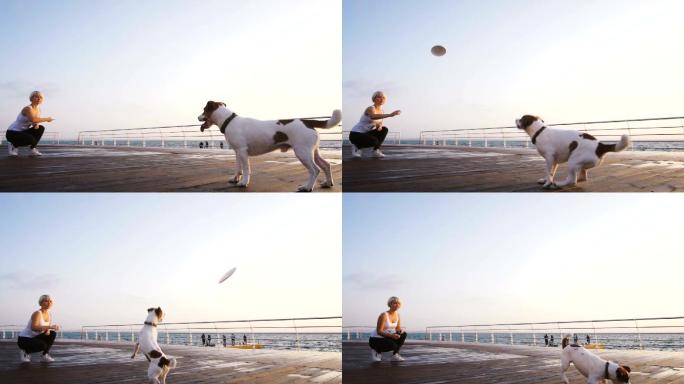 年轻女子在海边训练可爱的小狗