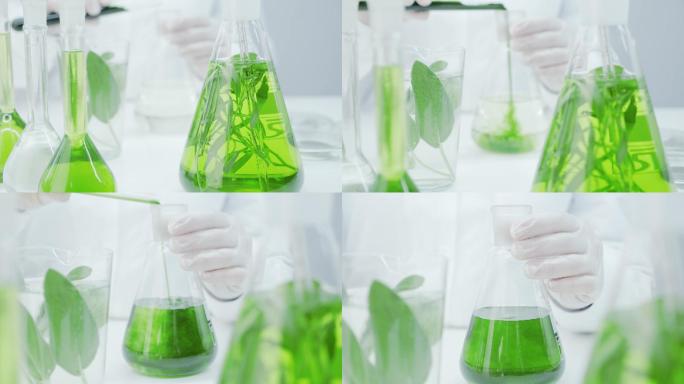 技术人员将绿色试剂与烧瓶中的液体混合