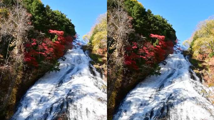 东京县著名的秋日瀑布