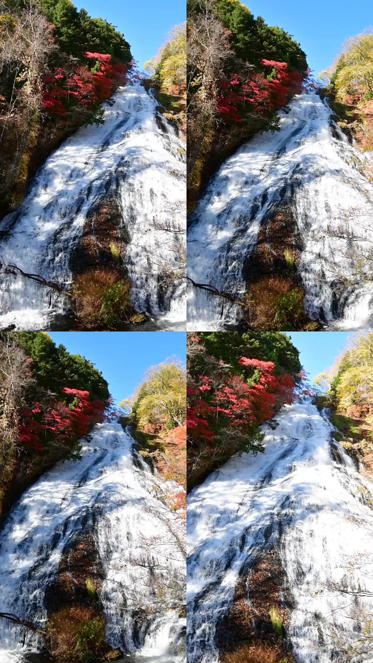 东京县著名的秋日瀑布
