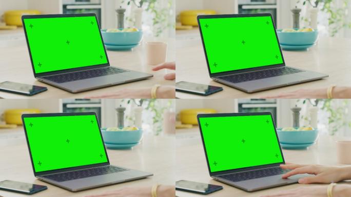 笔记本电脑上的绿色屏幕特写模型
