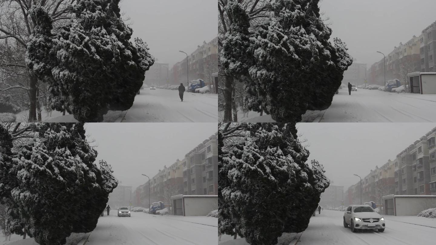 原创视频素材雪景空镜雪花挂在树上的雪