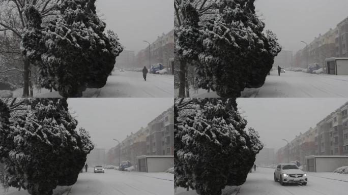 原创视频素材雪景空镜雪花挂在树上的雪