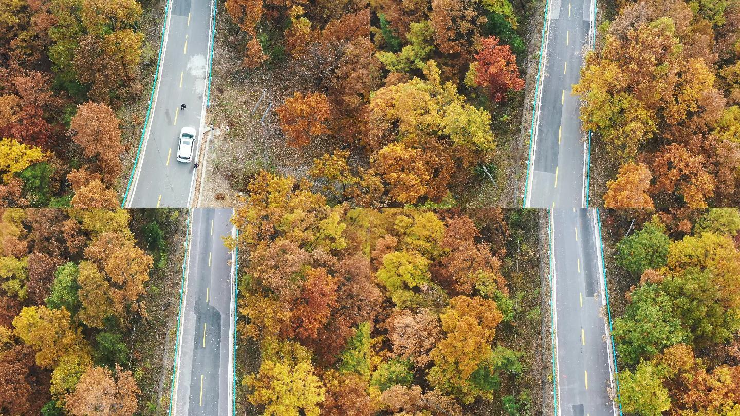五彩公路 秋天风景