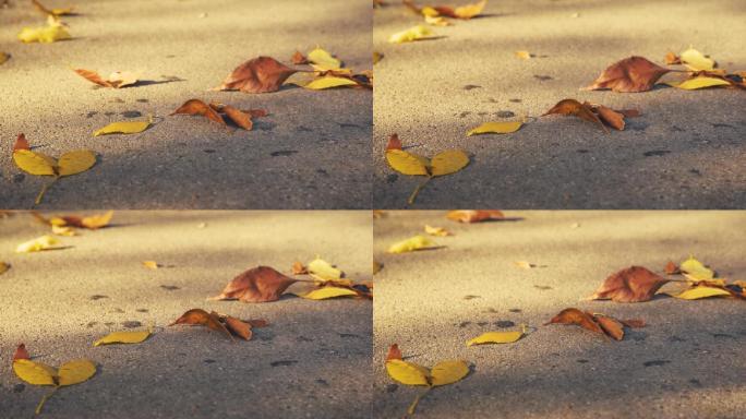 人行道上的秋叶离别伤感落叶入秋