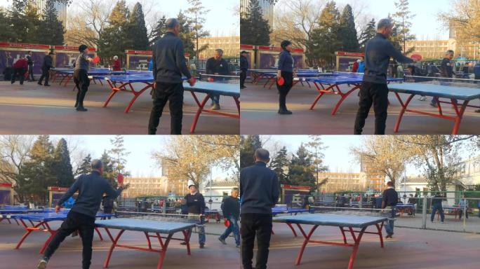 城市公园打乒乓球