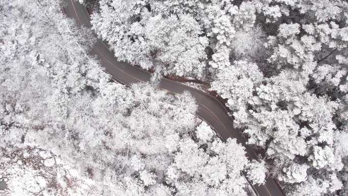 冬天 大雪 积雪 冬日下雪 唯美 意境