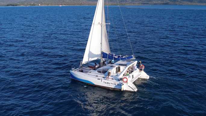 蔚蓝的大海上双体帆船自由航行素材