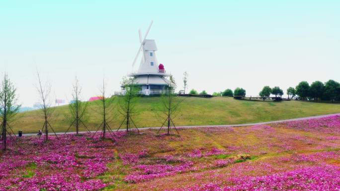 风车花海田园