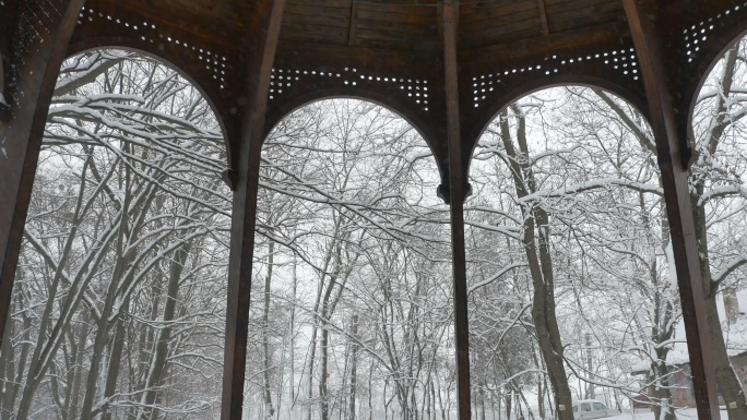 雪树木结构美丽雪景